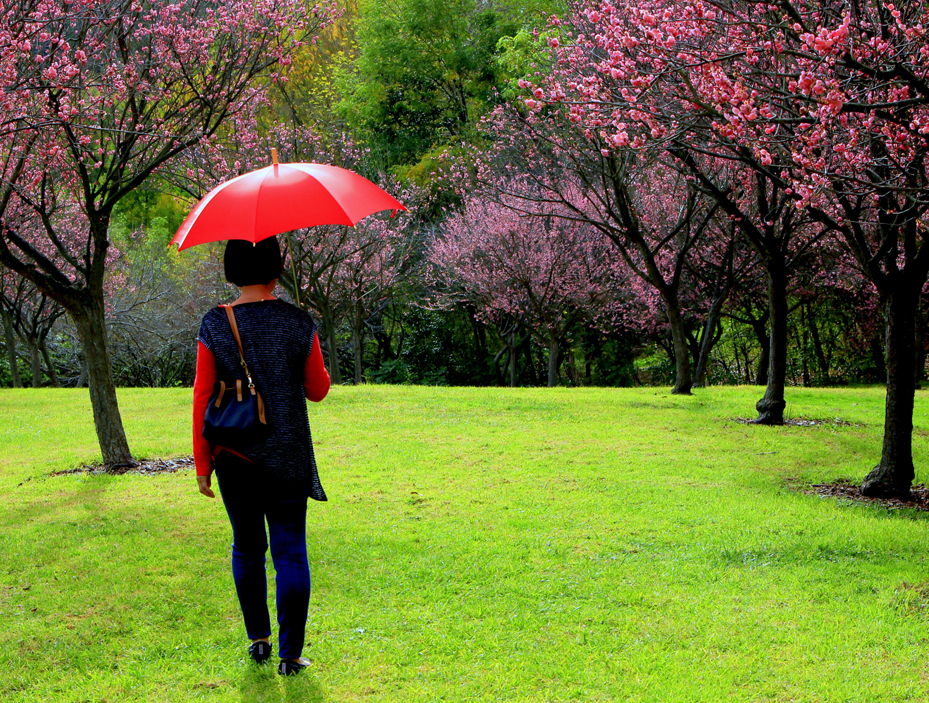 lady w red umbrella - WelmaFu